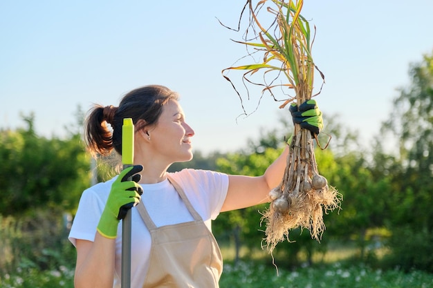 Lächelnde Bäuerin Gärtnerin, die frisch gegrabene Knoblauchpflanze in der Hand hält, Ernte Knoblauch Sommer sonnigen Gemüsegarten Hintergrund. Gesunde Bio-Lebensmittel, bäuerliche Arbeit und Hobbys