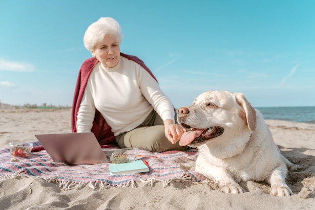 Lächelnde, erfreute, grauhaarige Dame, die am Sandstrand sitzt und ihren niedlichen Labrador Retriever bewundert