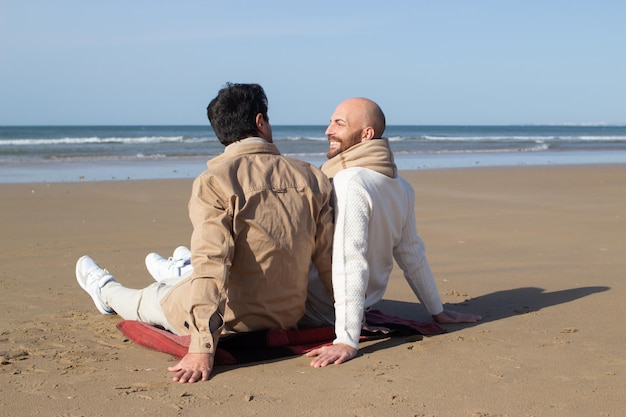 Lächelnde Schwule unterhalten sich an der Küste. Rückansicht positiver Männer mittleren Alters, die zu diesem Zeitpunkt auf Sand sitzen. Konzept der homosexuellen Partner