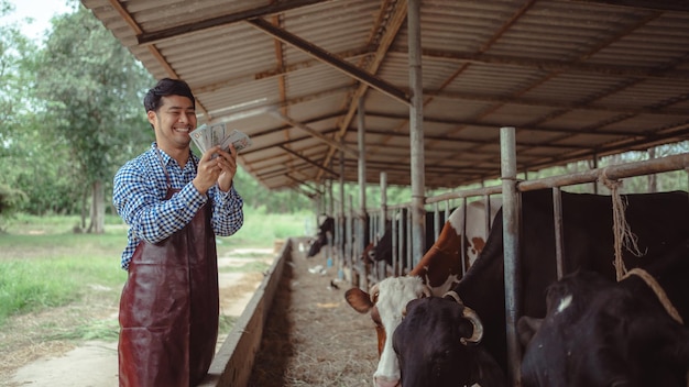 Lächelnde und glückliche Landwirte erhalten Einkommen aus dem Milchviehbetrieb Landwirtschaftsindustrie Landwirtschafts- und Tierhaltungskonzept Kuh auf Milchviehbetrieb, der Heu frisst Kuhstall