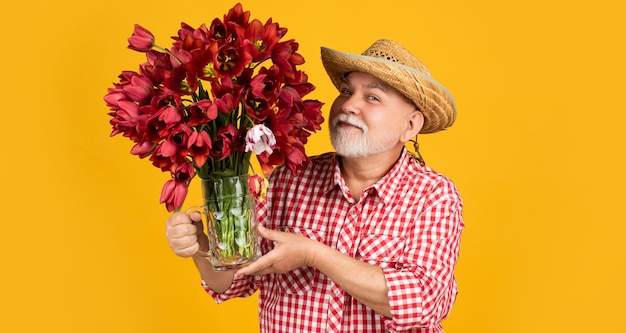 Lächelnder alter Rentner mit Hut hält Frühlingstulpenblumen auf gelbem Hintergrund