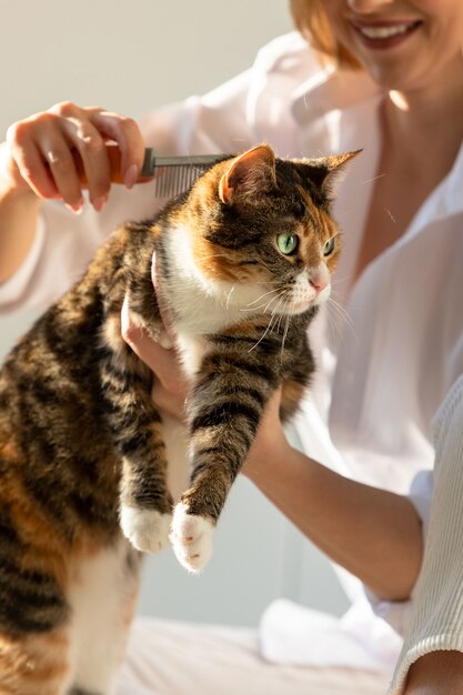 Lächelnder Frauenbesitzer, der Katze mit Hand kämmt, kratzt und hält