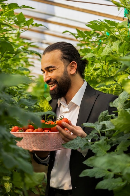 Lächelnder Geschäftsmann, der Tomatenkorb am Gewächshaus hält