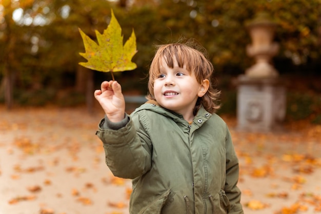 Lächelnder Kleinkindjunge, der Herbstahornblattkind hält, das im Herbst im Park im Freien spielt