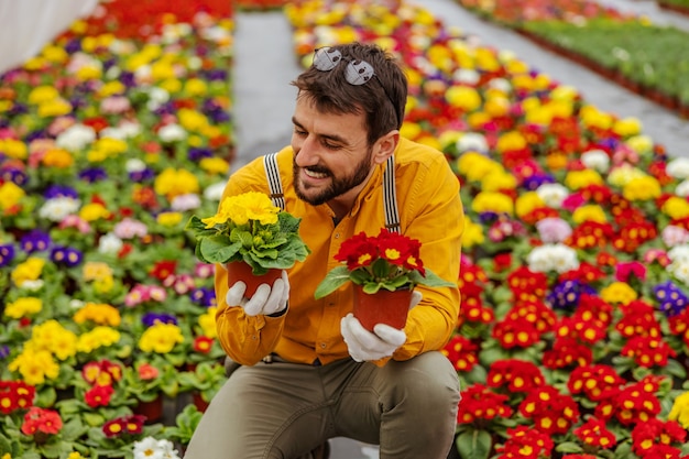 Lächelnder Kleinunternehmer, der im Gewächshaus kauert und Häfen mit bunten Blumen hält