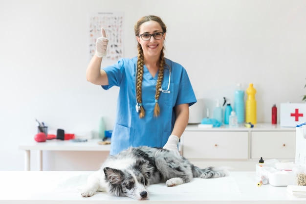 Foto lächelnder weiblicher tierarzt mit hund auf tabelle in der klinik, die thumbup zeichen zeigt