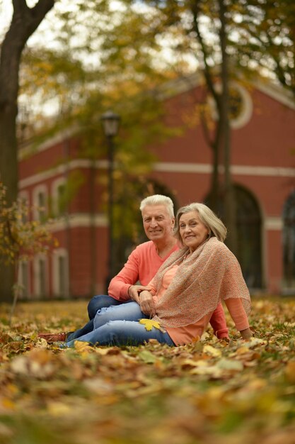 Lächelndes älteres Ehepaar sitzt auf Gras mit abgefallenen Blättern im herbstlichen Park