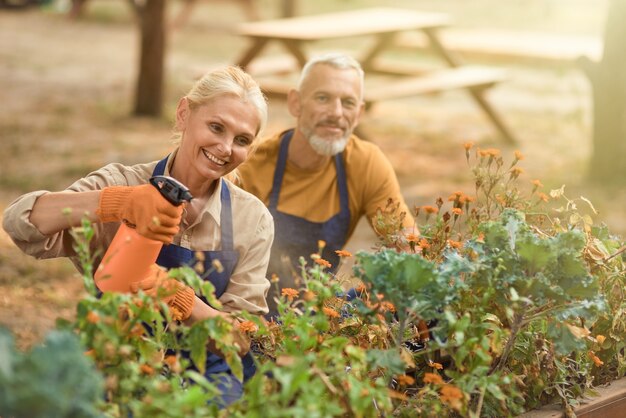 Lächelndes kaukasisches Paar mittleren Alters, das im Garten arbeitet