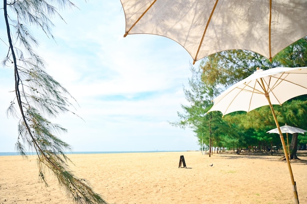 Laem Charoen Beach in RayongKieferSommerurlaub und Naturreisekonzept