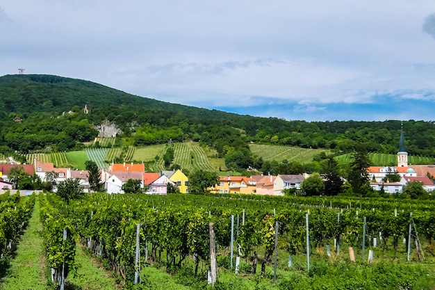 Ländliche europäische Landschaft mit Feldern und Häusern am bewölkten Sommertag