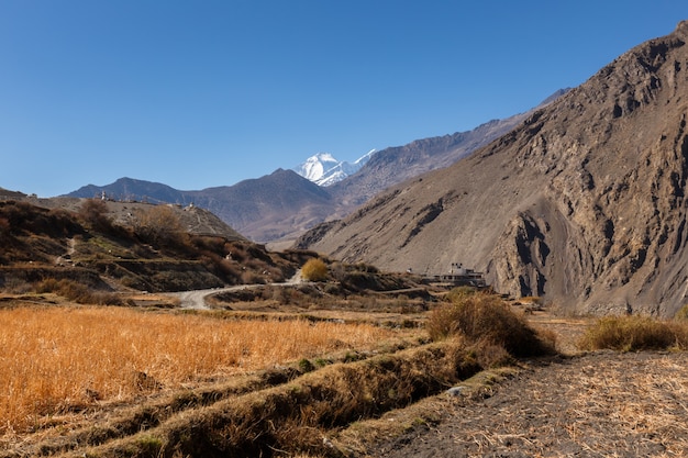 Ländliche Felder, Nepal