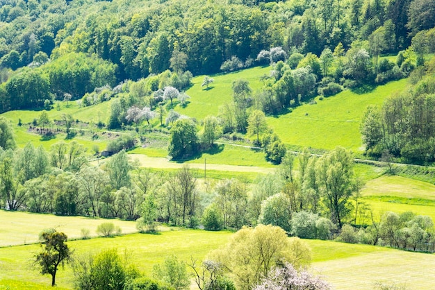 ländliche Frühlingslandschaft