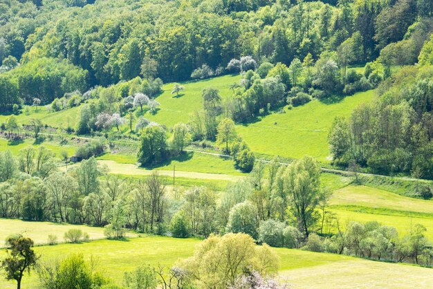 ländliche Frühlingslandschaft