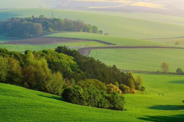 Ländliche Frühlingslandschaft