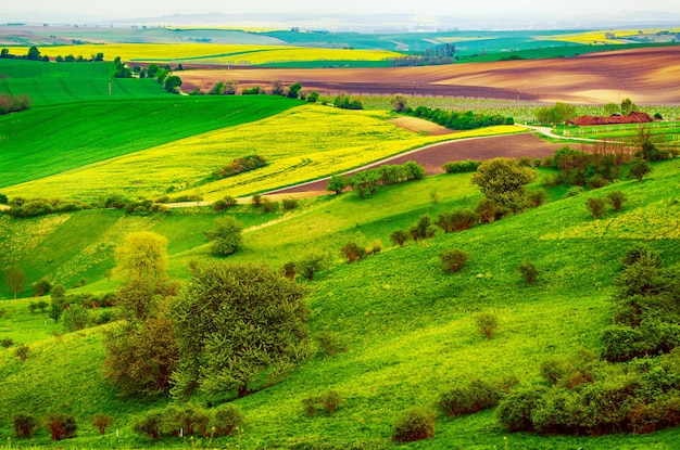 Ländliche Frühlingslandschaft