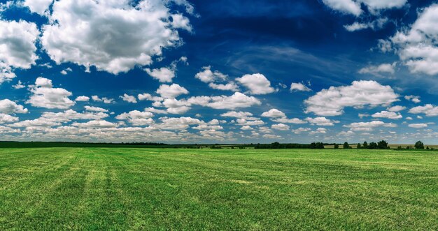 Ländliche Frühlingslandschaft