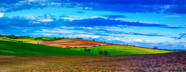 Ländliche Frühlingslandschaft