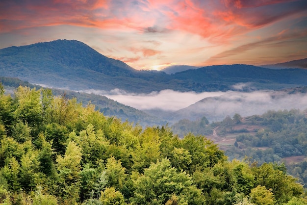 Ländliche Gegend vor dem Hintergrund der Berge im Morgennebel bei Sonnenaufgang