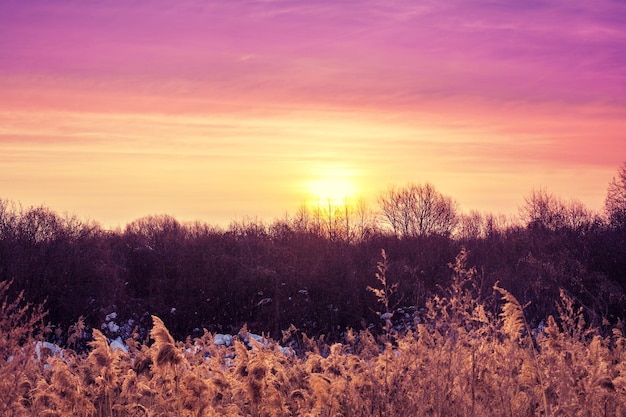 Ländliche Landschaft am Abend Schöner Sonnenuntergang auf dem Land im Herbst