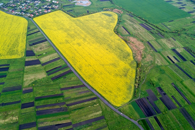 Ländliche Landschaft am Frühlings- oder Sommertag