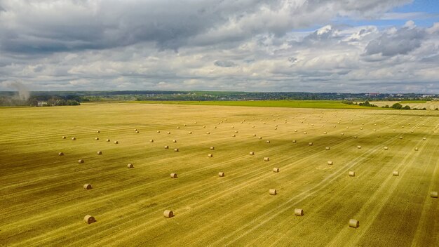 Ländliche Landschaft, Ernte an einem wolkigen Tag