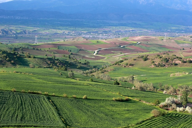 Ländliche Landschaft grüne bebaute Felder