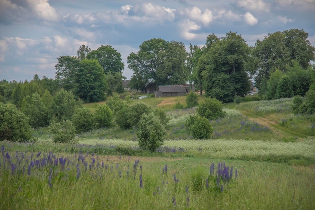 Ländliche Landschaft in Weißrussland