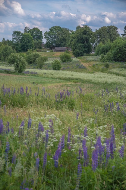 Ländliche Landschaft in Weißrussland