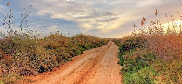 ländliche Landschaft mit abwechslungsreicher Vegetation