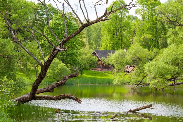 Ländliche Landschaft mit ethnischem Haus am See