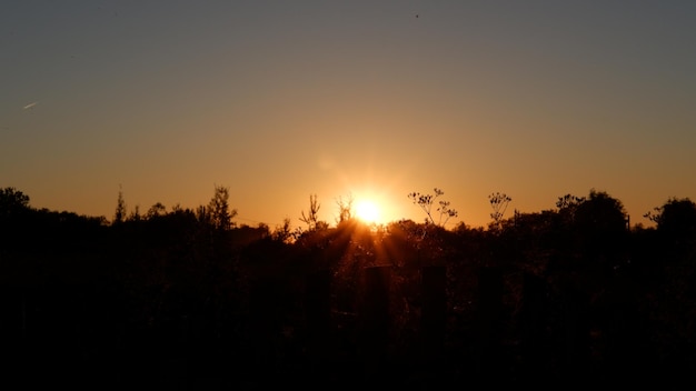 Ländliche Landschaft mit Feld bei Sonnenuntergang und Dorf im Hintergrund Region Wologda