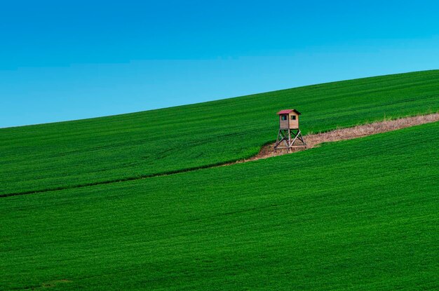 Ländliche Landschaft mit grünem Feld, blauem Himmel und hölzerner Jagdhütte Südmähren Tschechien