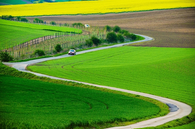 Ländliche Landschaft mit grünen Feldern Straße und Wellen Südmähren Tschechische Republik