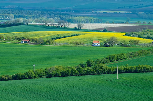 Ländliche Landschaft mit grünen Feldern und Wellen, Südmähren, Tschechien