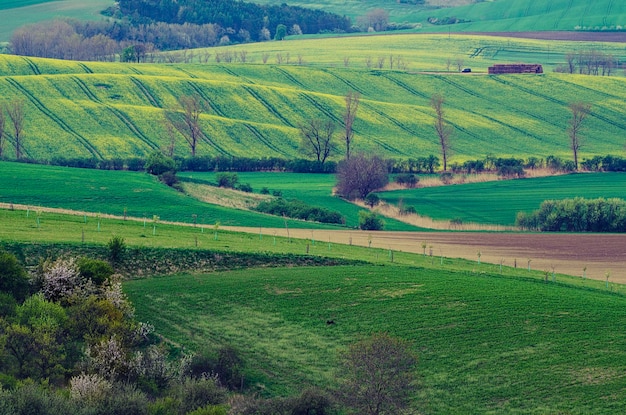 Ländliche Landschaft mit grünen Feldern und Wellen Südmähren Tschechien
