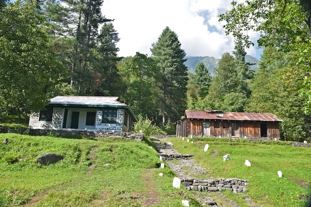 Ländliche Landschaft mit Holzhaus und grüner Natur