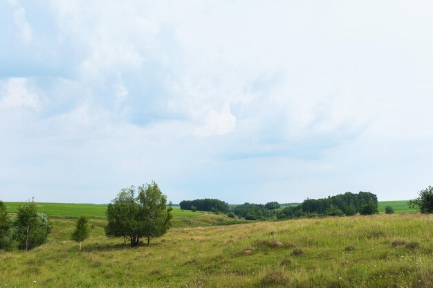 Foto ländliche landschaft mit kleinen schluchten bei bewölktem wetter