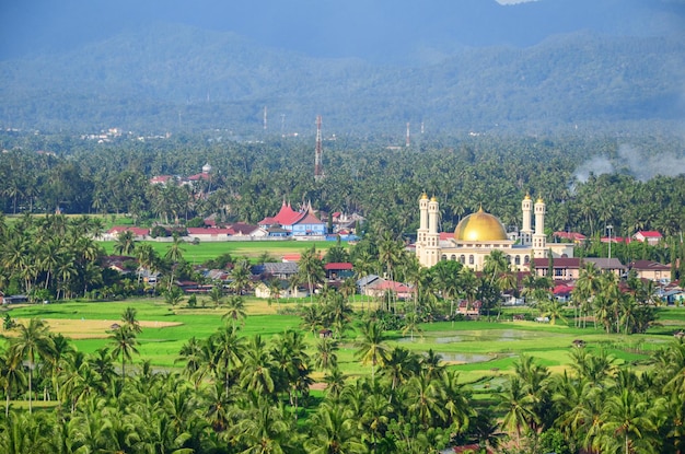 Ländliche Landschaft mit schöner Moschee