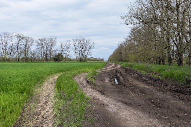 Ländliche Landschaft mit Schotterweg in der mittleren Zone Russlands