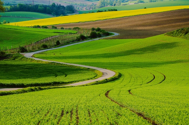 Ländliche Landschaft mit Straße