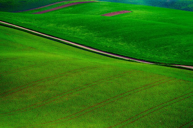 Ländliche Landschaft mit Straße