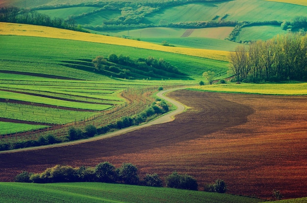 Ländliche Landschaft mit Straße