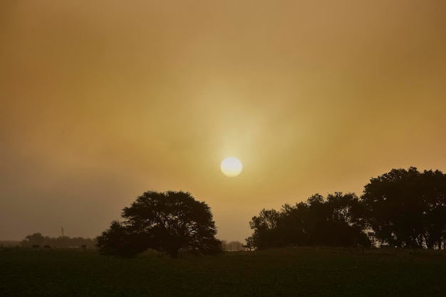 Ländliche Landschaft Provinz Buenos Aires Argentinien