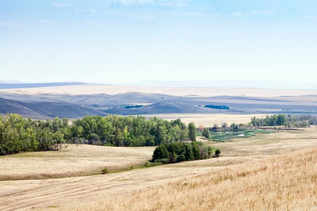 Ländliche Landschaft. Sommer