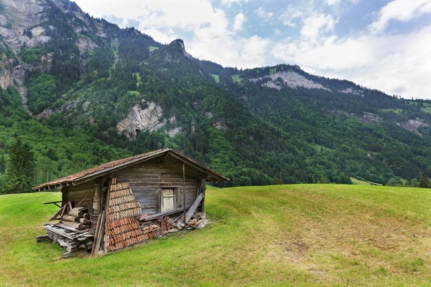 Ländliche Landschaft vor dem Hintergrund der Alpenberge Schweiz