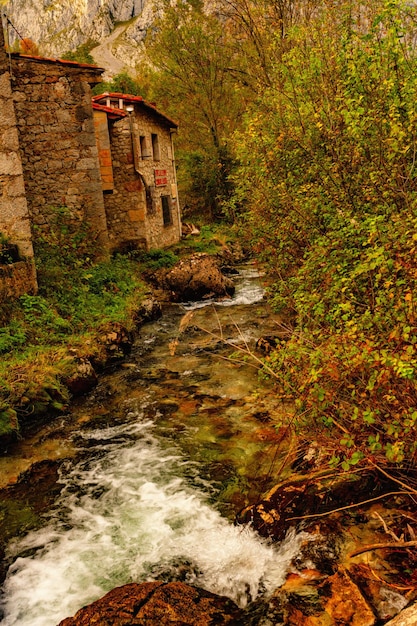 Ländliche Landschaften im Landesinneren von Asturien