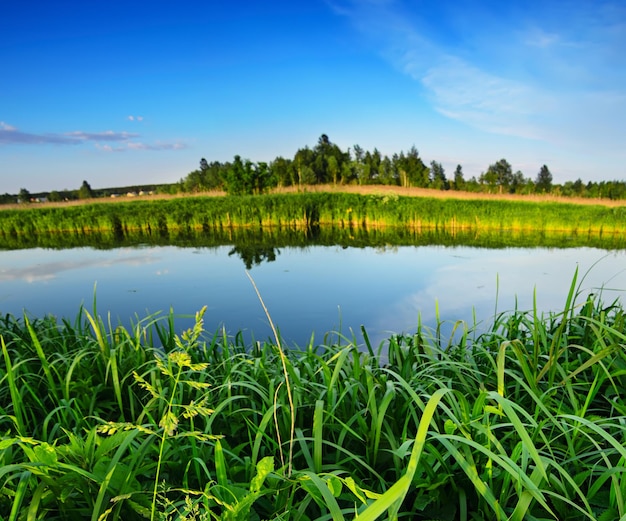 Ländliche Sommerlandschaft mit grünem Gras des Flusses und blauem Himmel