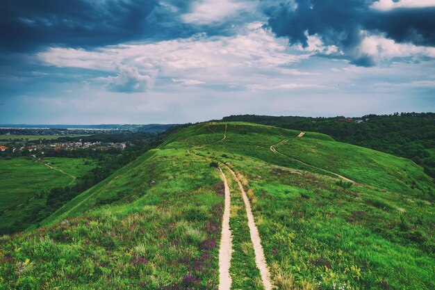 Ländliche Sommerlandschaft