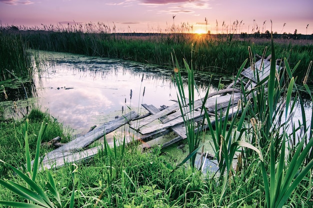 Ländliche Sommersonnenaufgangslandschaft mit Flussholzbrücke im Retro-Vintage-Stil