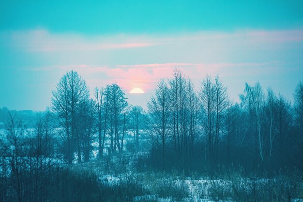 Ländliche Winterlandschaft bei Sonnenuntergang. Verschneite Winterlandschaft. Das schneebedeckte Feld bei Sonnenuntergang